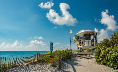 nude beachs florida|12 Nude Beaches in Florida